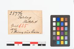 Etikett zu Beinring (NHMW-PRAE-025776)